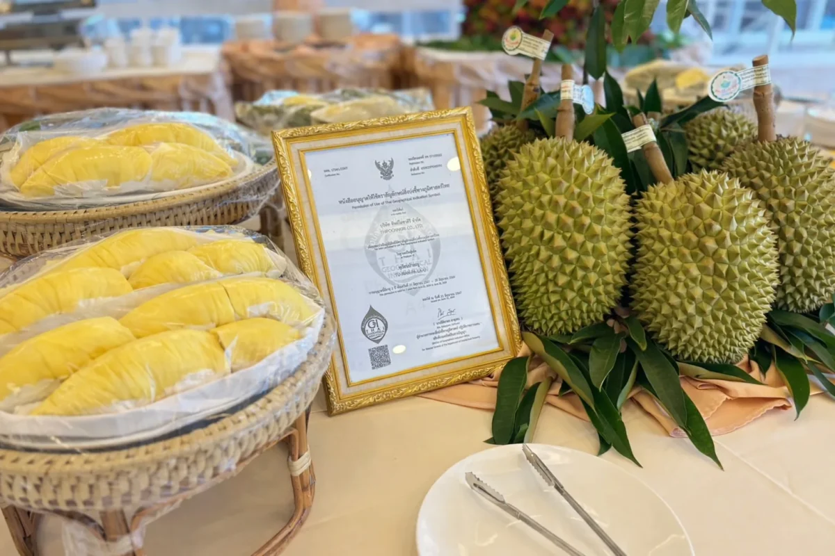 durian raithipochakiri farmstay pa la u hua hin