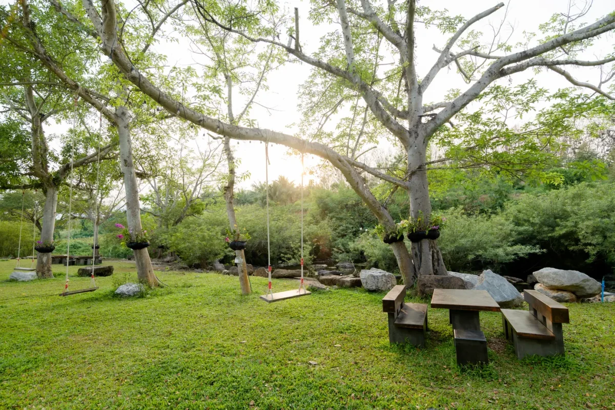 nature by pran buri river raithipochakiri farmstay pa la u hua hin