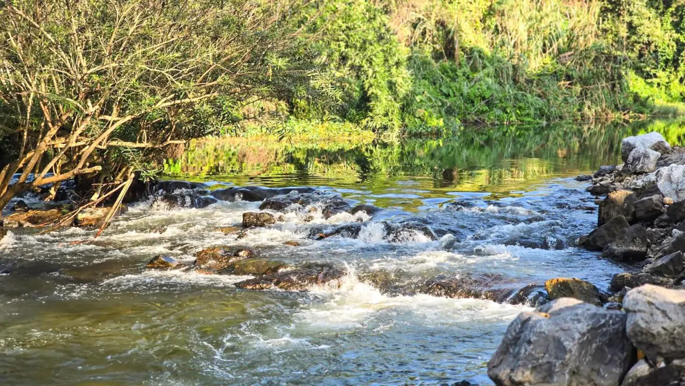 pran buri river raithipochakiri farmstay pa la u hua hin